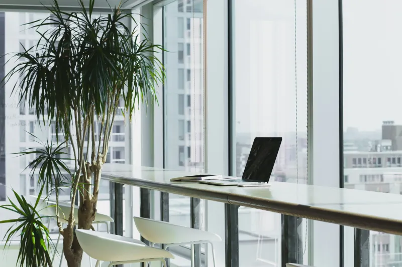 Office workspace - working in New Zealand